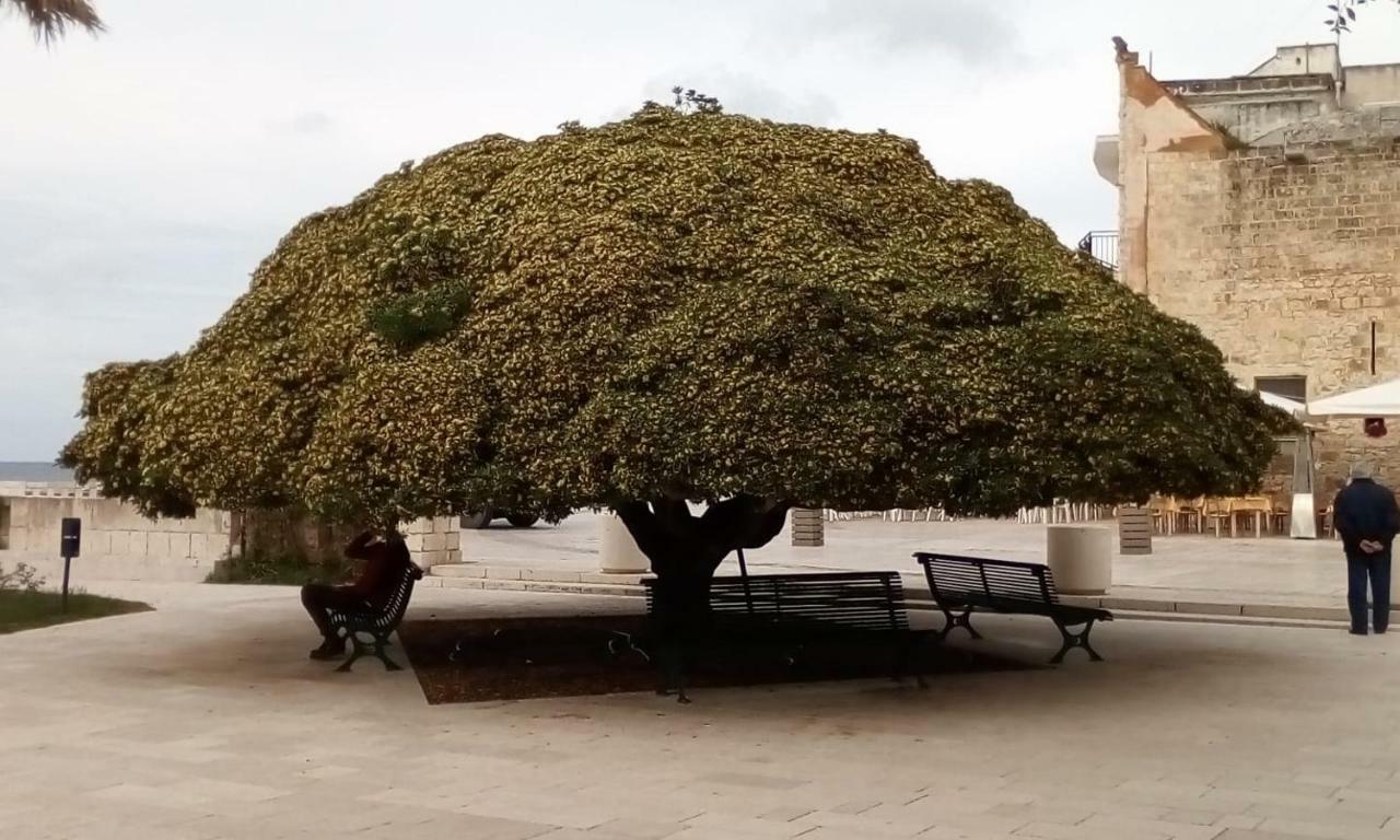 Villa Casa in SALENTO a Otranto Esterno foto